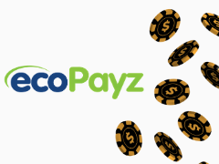 How to use EcoPayz at Online Casinos?-Complete Guide