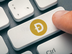 Top 5 Crypto Casinos that accept Dogecoin